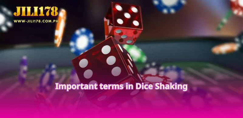 Important terms in Dice Shaking